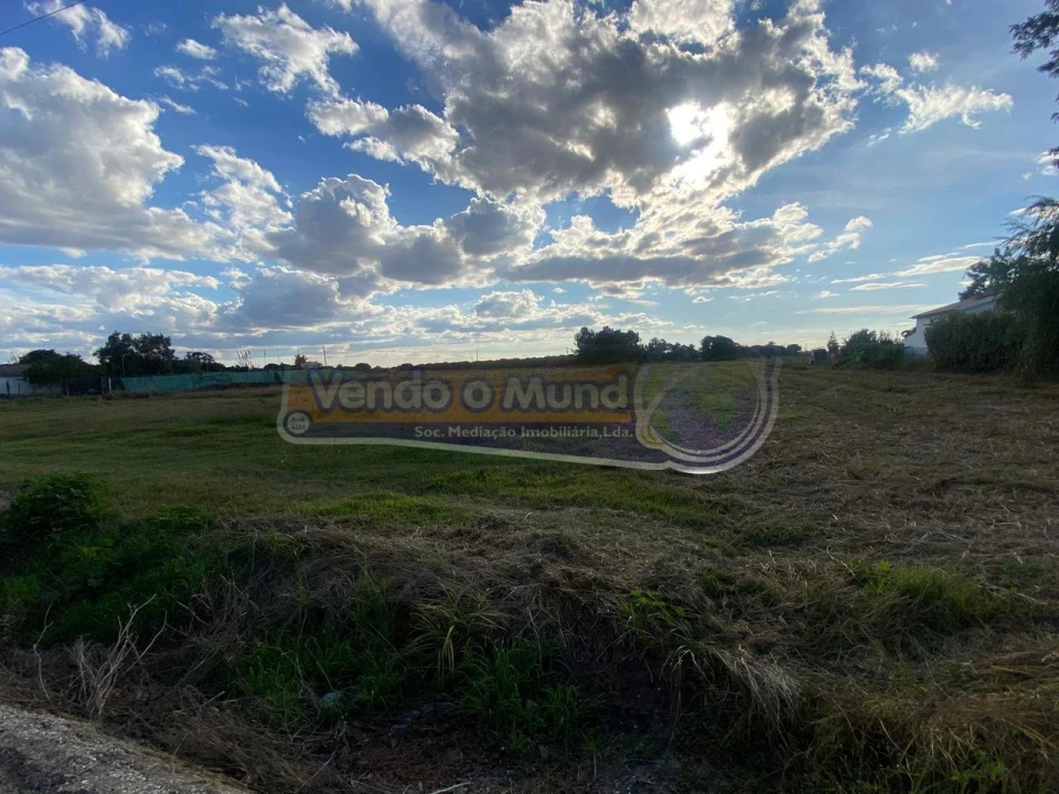 Terreno para Venda em Marinhais Foto 4