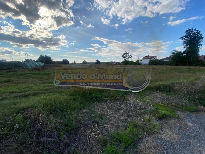 Terreno para Venda em Marinhais Foto 3