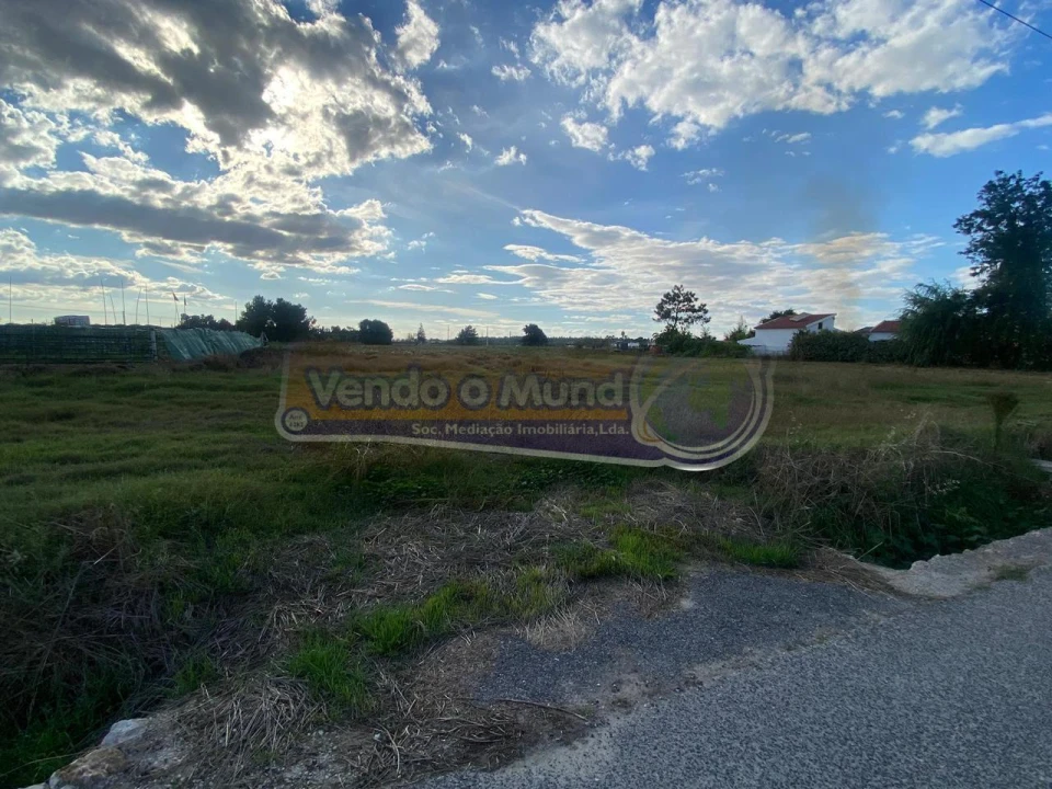 Terreno para Venda em Marinhais Foto 6