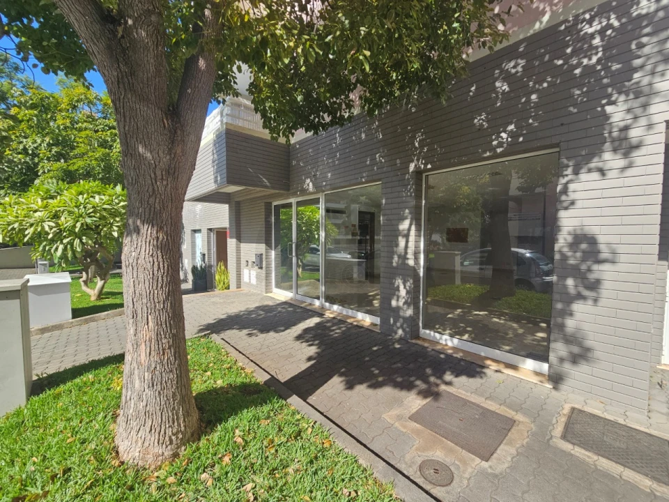 Escritório para Venda em São Martinho Foto 2