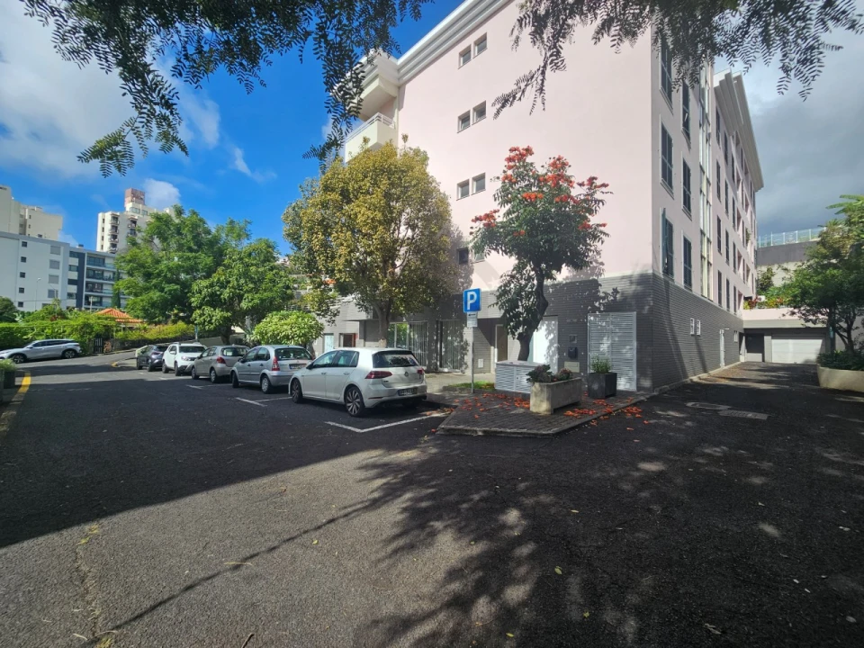 Escritório para Venda em São Martinho Foto 21