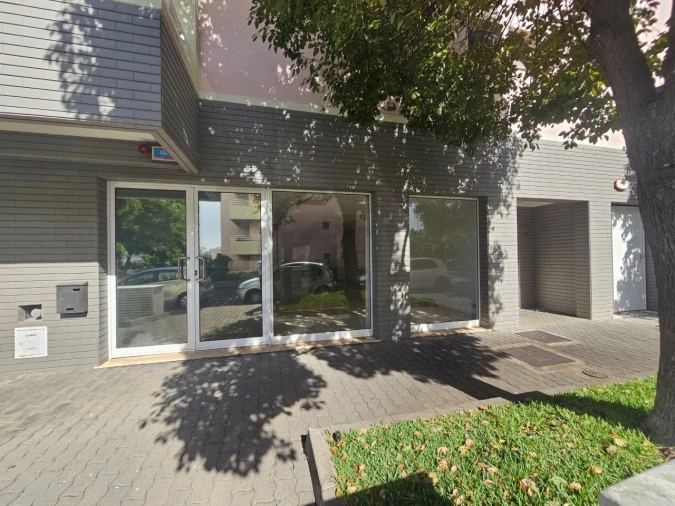 Escritório para Venda em São Martinho Foto 1