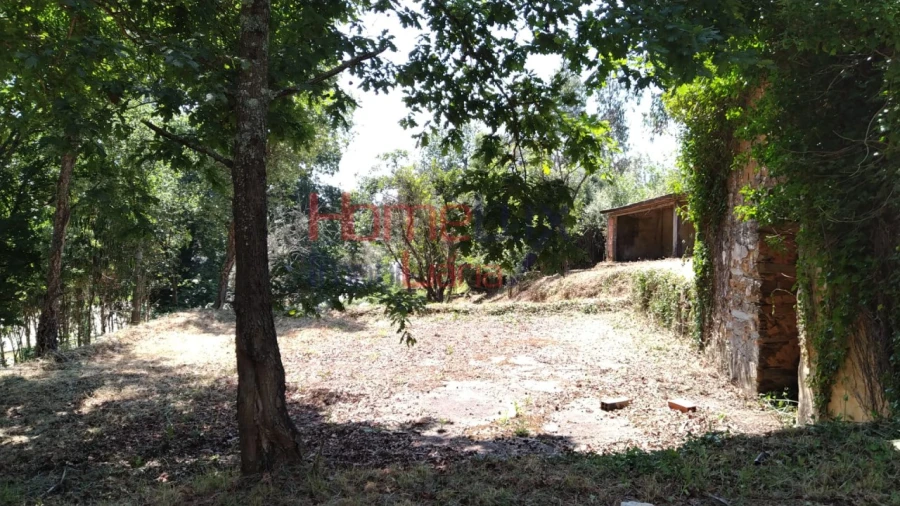 Terreno para Venda em Águeda e Borralha Foto 2