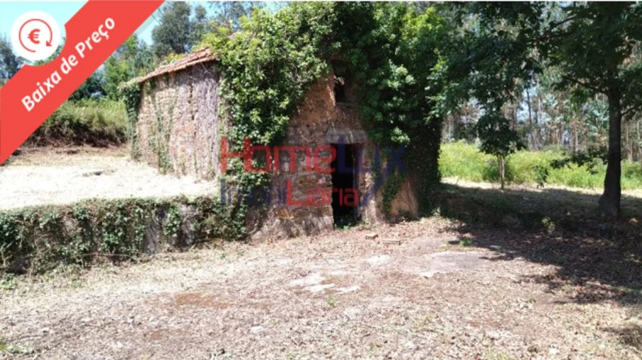 Terreno para Venda em Águeda e Borralha Foto 1