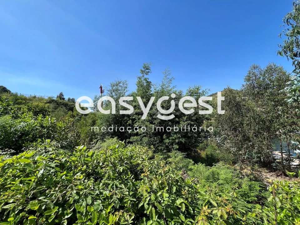 Terreno para Venda em Ferreira do Zezere Foto 4