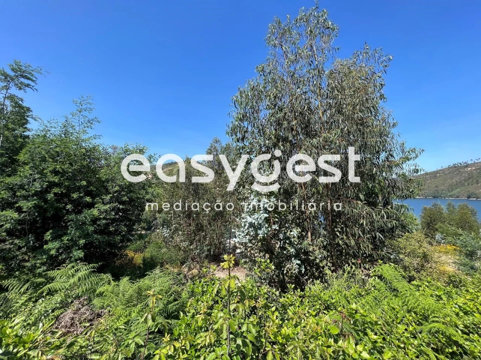 Terreno para Venda em Ferreira do Zezere Foto 5