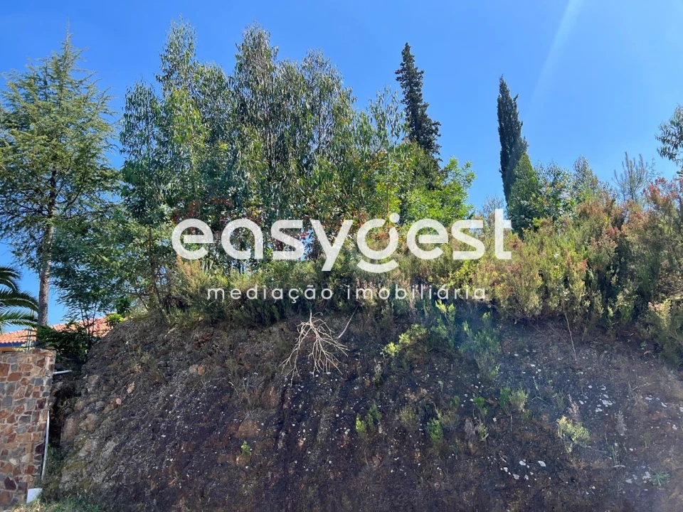 Terreno para Venda em Ferreira do Zezere Foto 15