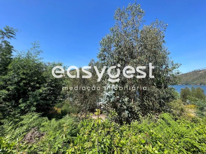 Terreno para Venda em Ferreira do Zezere Foto 5