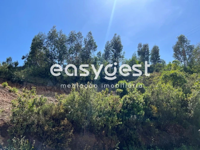 Terreno para Venda em Ferreira do Zezere Foto 13