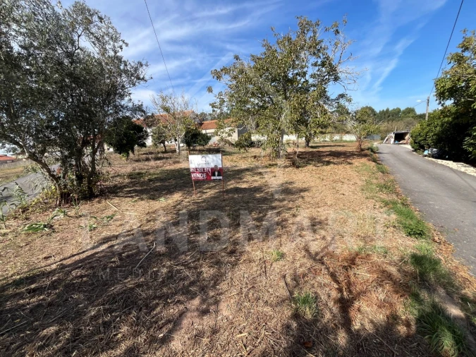 Terreno Agricola ou Rústico para Venda em Turquel