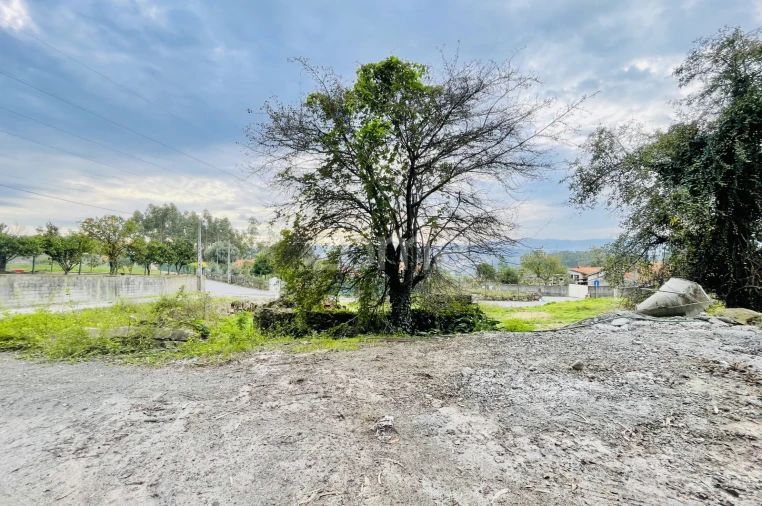 Terreno para Venda em Oliveira (Santa Maria) Foto 8
