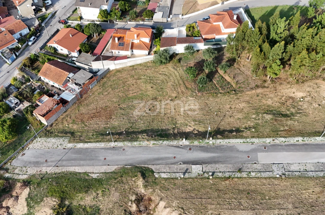 Terreno para Venda em Santo Antonio dos Olivais Foto 14