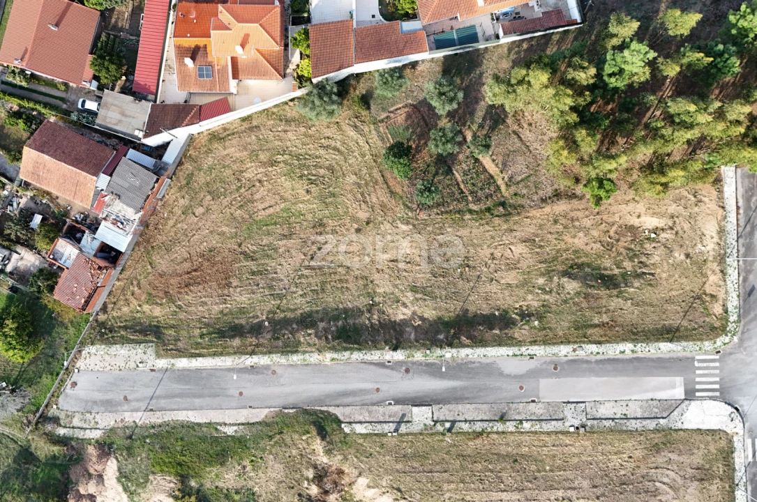 Terreno para Venda em Santo Antonio dos Olivais Foto 15
