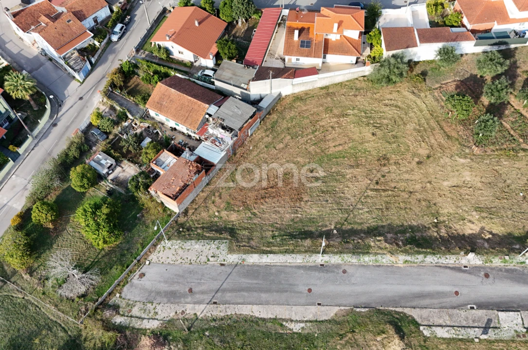 Terreno para Venda em Santo Antonio dos Olivais Foto 8