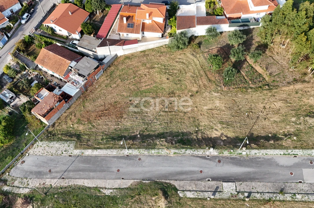 Terreno para Venda em Santo Antonio dos Olivais Foto 9