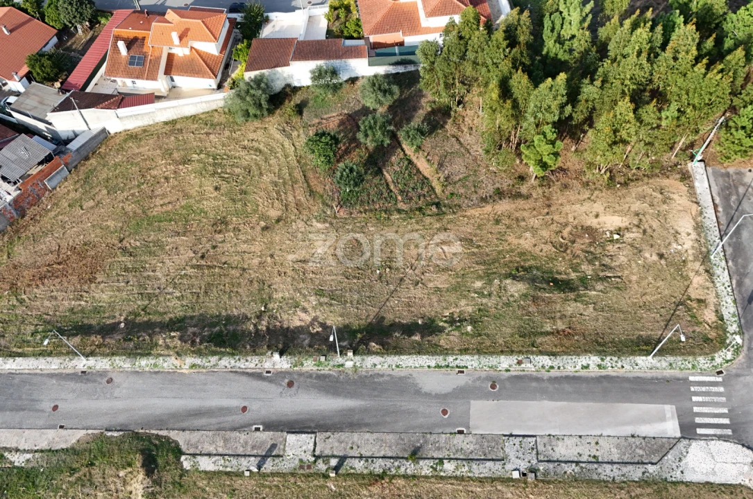 Terreno para Venda em Santo Antonio dos Olivais Foto 10