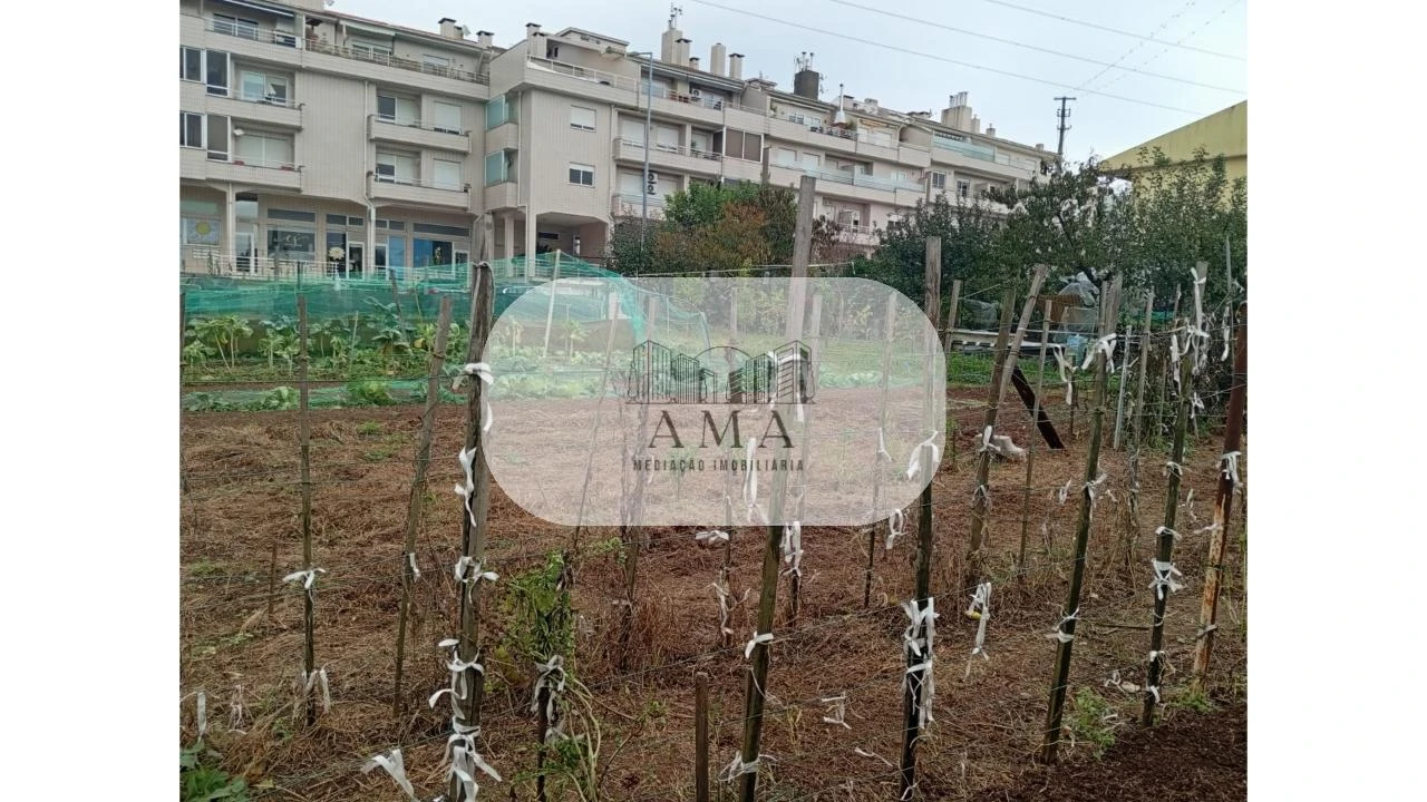 Terreno para Venda em Macieira de Sarnes Foto 3