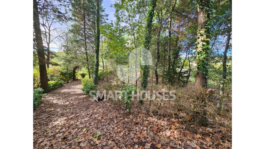 Moradia T1 para Venda em Secarias Foto 2