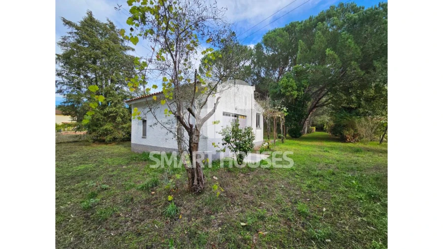 Moradia T1 para Venda em Secarias Foto 5