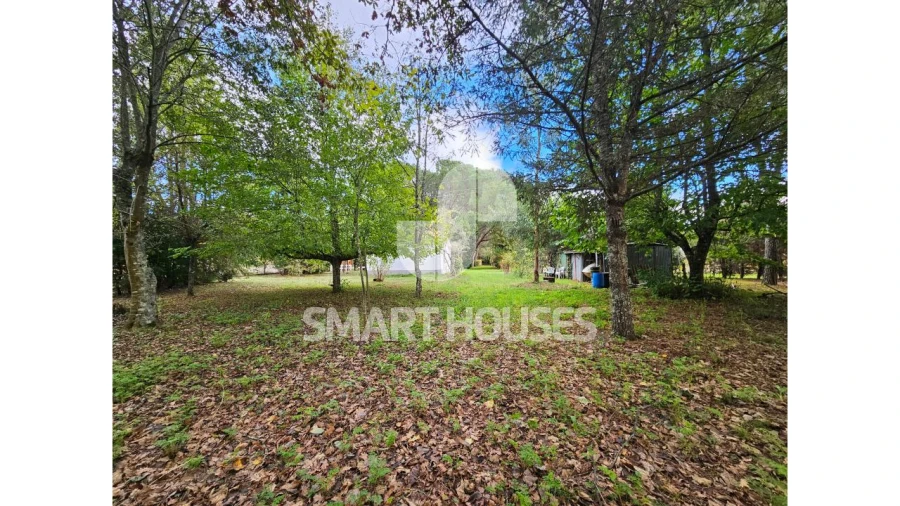 Moradia T1 para Venda em Secarias Foto 23