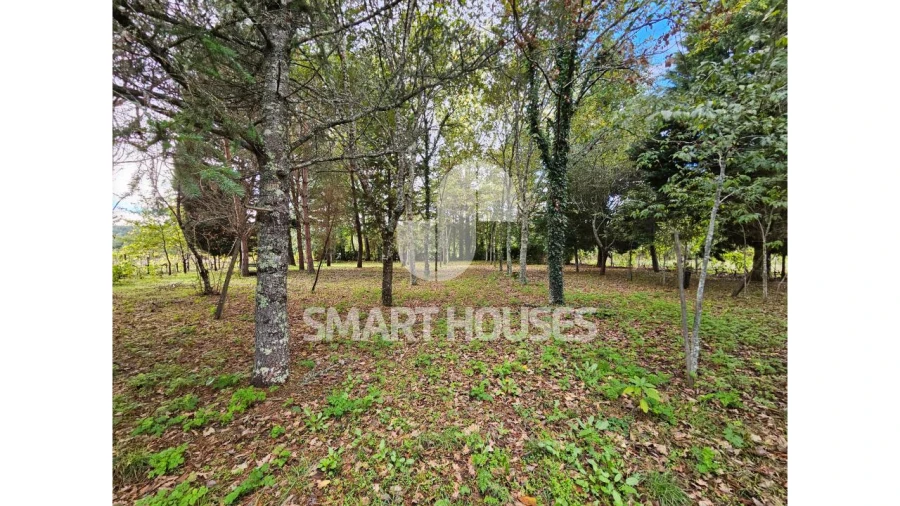 Moradia T1 para Venda em Secarias Foto 24