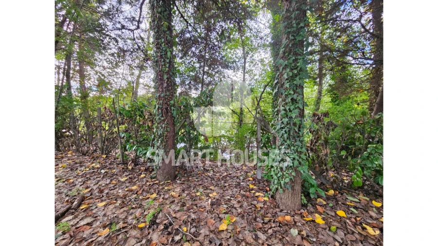 Moradia T1 para Venda em Secarias Foto 25