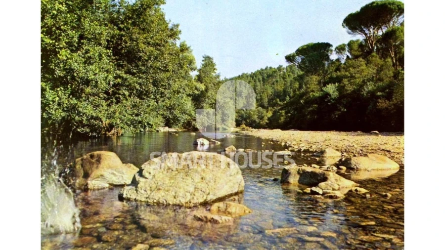 Moradia T1 para Venda em Secarias Foto 28