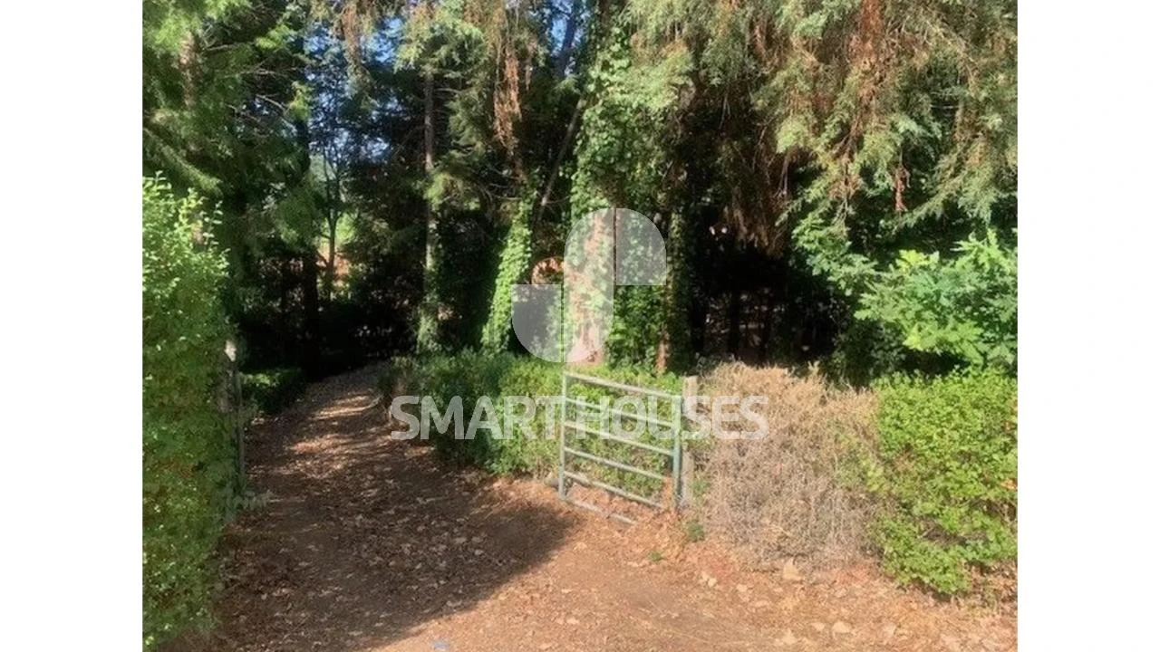 Moradia T1 para Venda em Secarias Foto 1