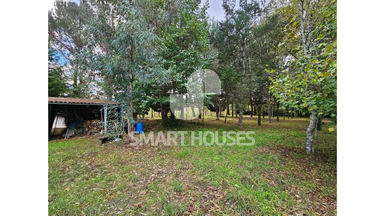 Moradia T1 para Venda em Secarias Foto 21