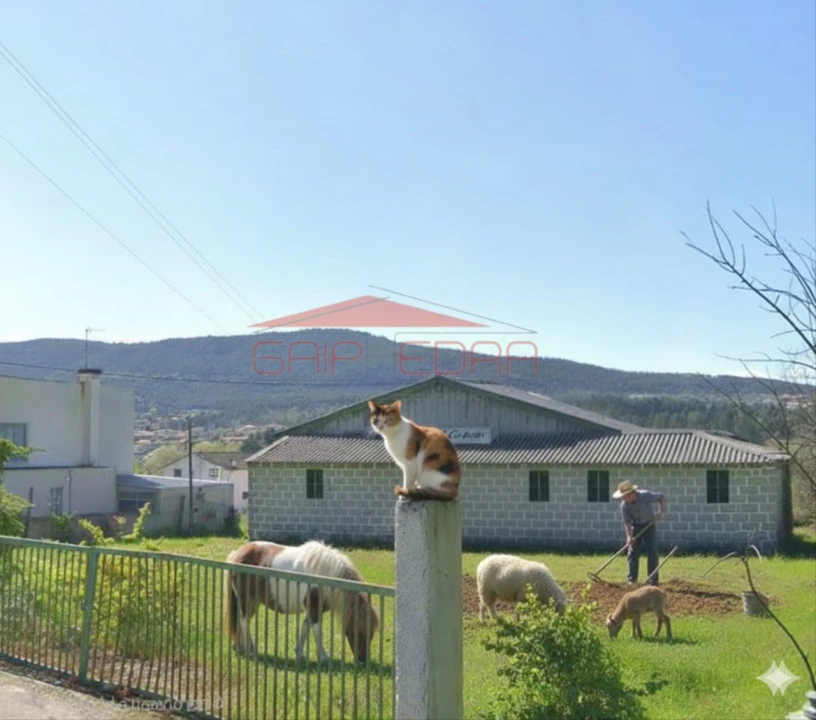 Moradia T5 para Venda em Bornes de Aguiar Foto 1