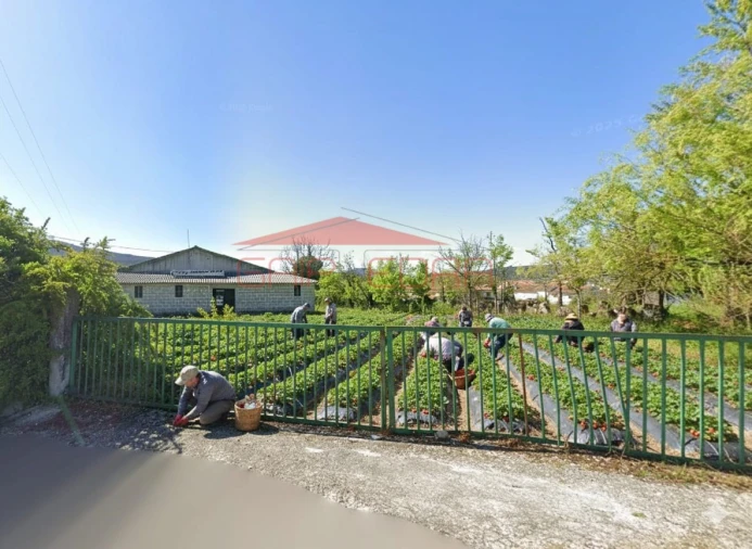 Moradia T5 para Venda em Bornes de Aguiar Foto 4