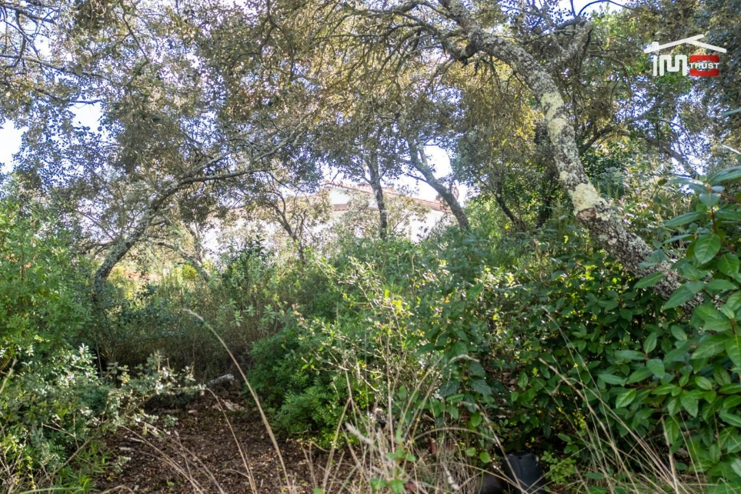 Terreno para Venda em Fatima Foto 23