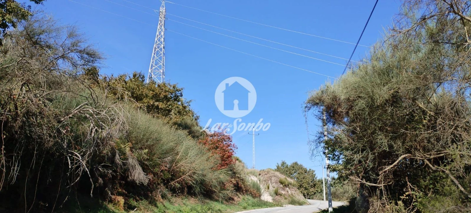 Terreno Agricola ou Rústico para Venda em Moreira do Rei e Várzea Cova Foto 7