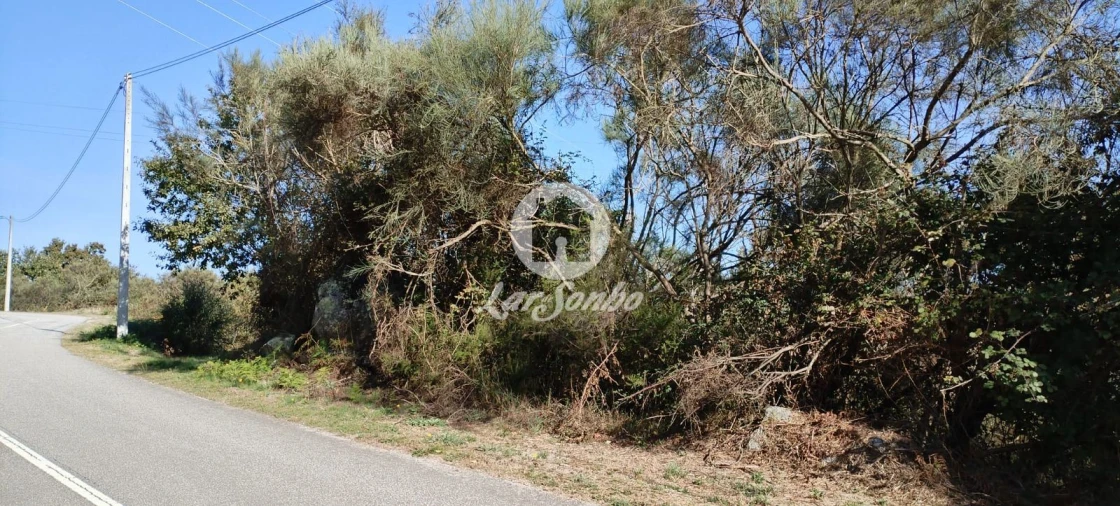 Terreno Agricola ou Rústico para Venda em Moreira do Rei e Várzea Cova Foto 10