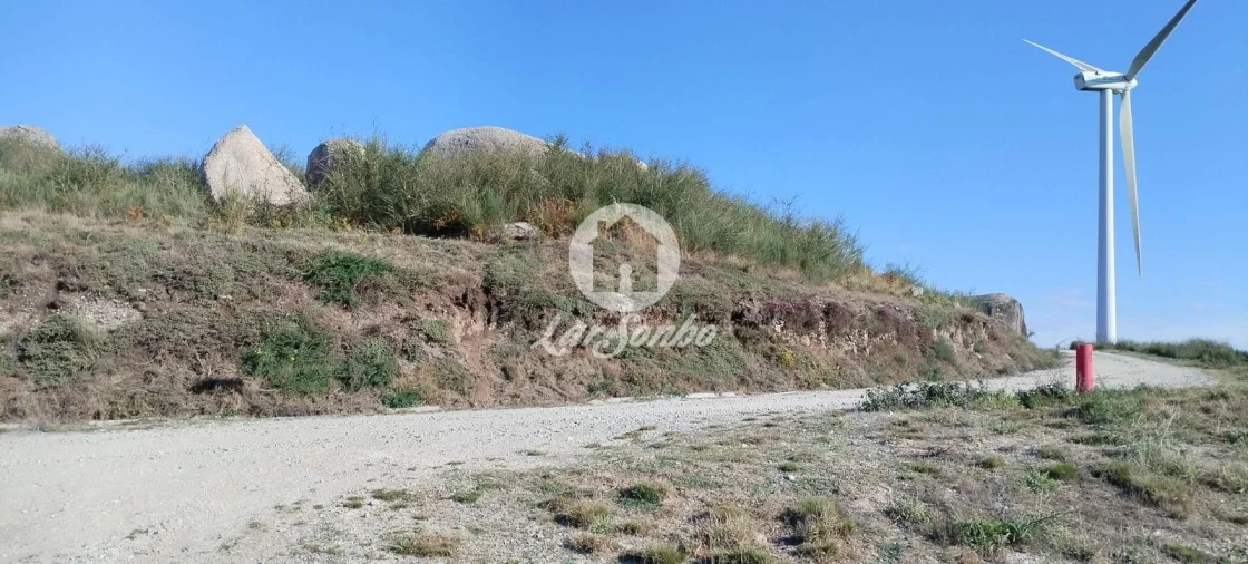 Terreno Agricola ou Rústico para Venda em Moreira do Rei e Várzea Cova Foto 13