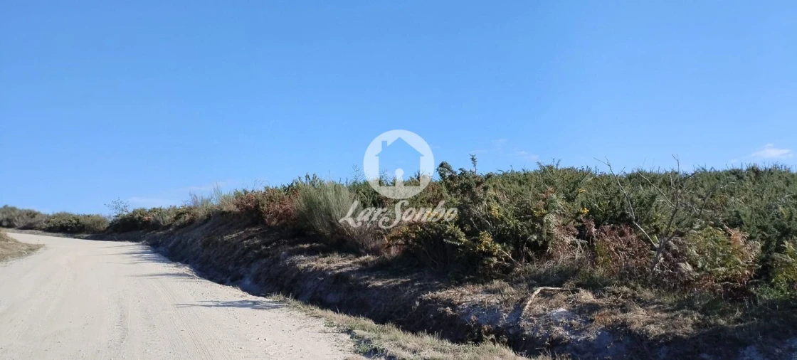Terreno Agricola ou Rústico para Venda em Moreira do Rei e Várzea Cova Foto 3