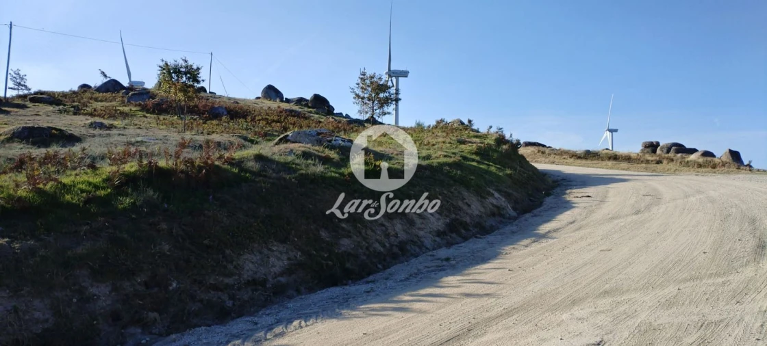 Terreno Agricola ou Rústico para Venda em Moreira do Rei e Várzea Cova Foto 5