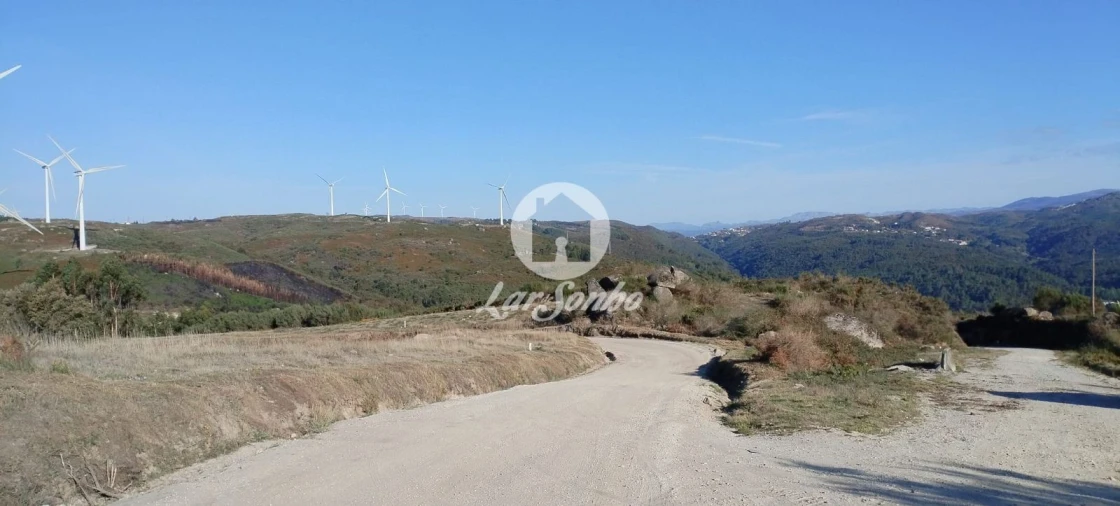 Terreno Agricola ou Rústico para Venda em Moreira do Rei e Várzea Cova Foto 1