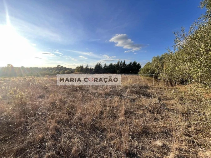 Terreno para Venda em Pontevel Foto 3