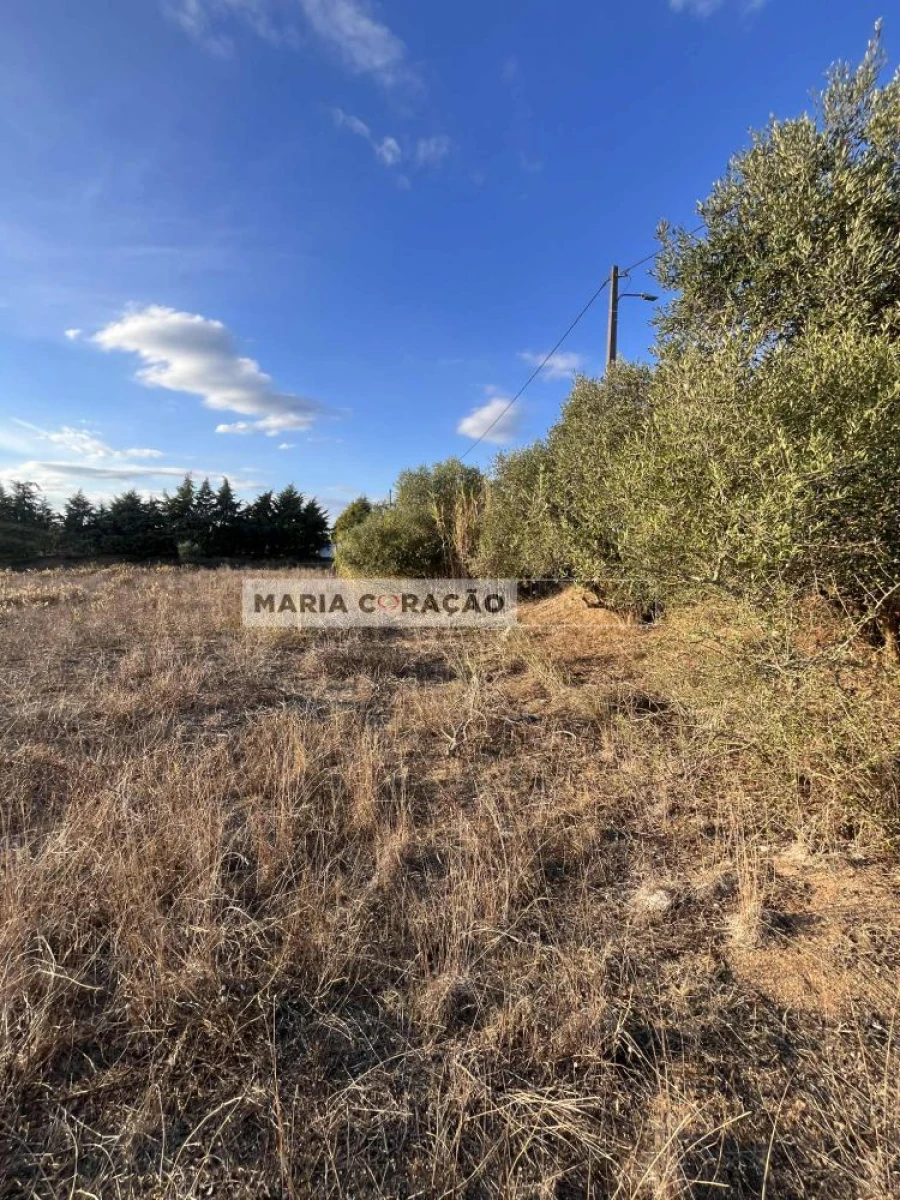 Terreno para Venda em Pontevel Foto 2