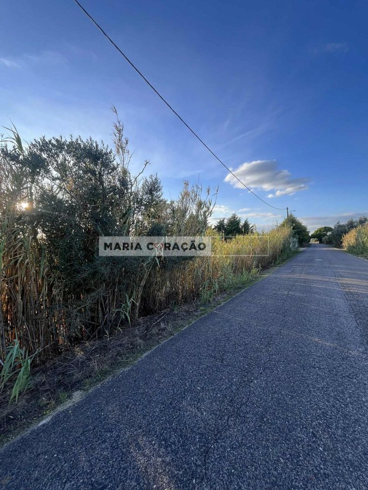 Terreno para Venda em Pontevel Foto 5