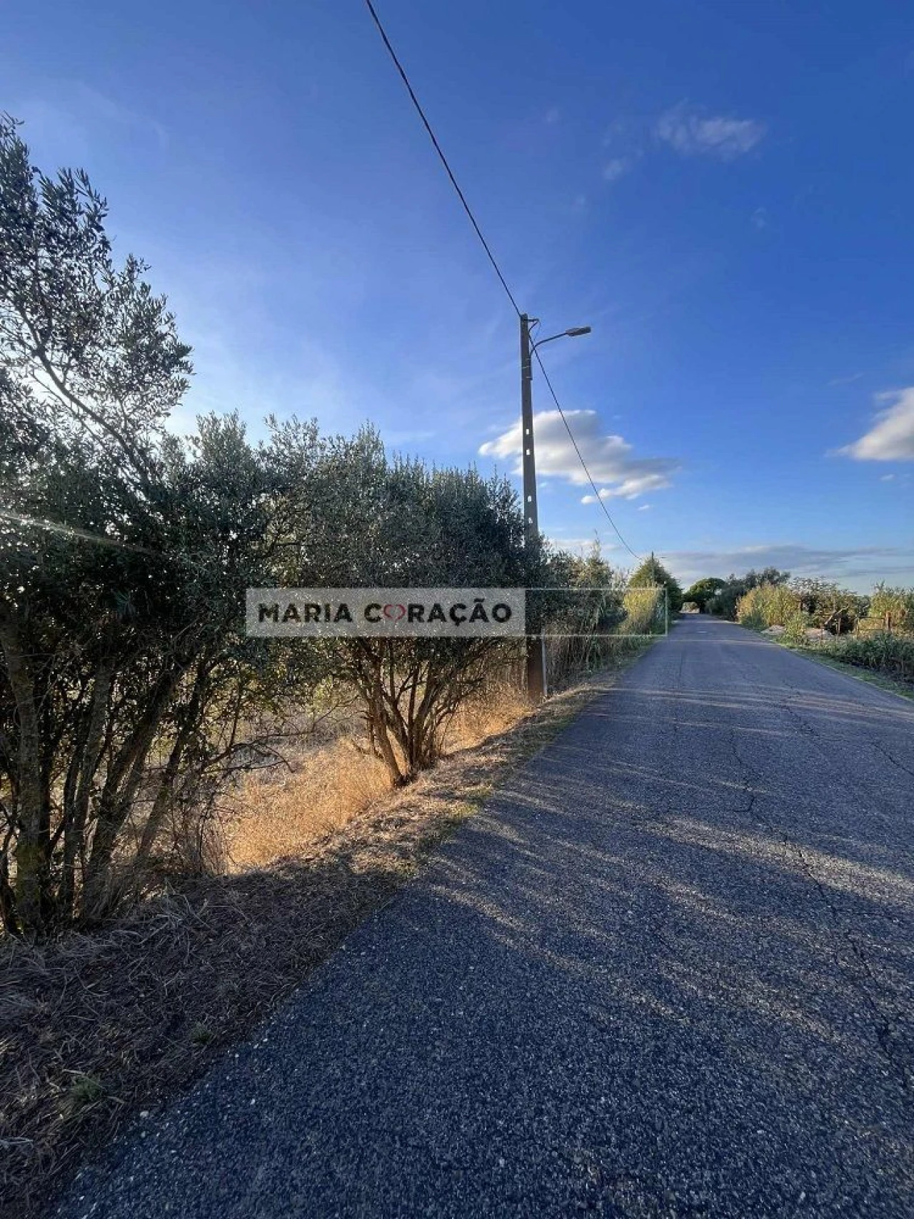 Terreno para Venda em Pontevel Foto 1