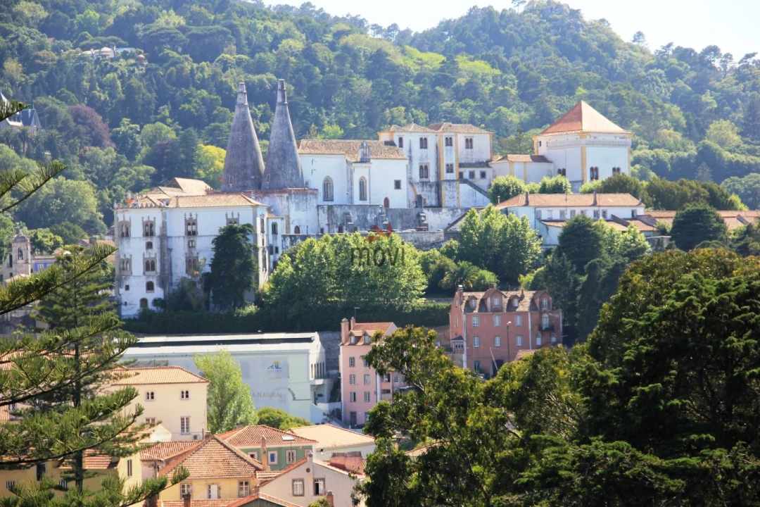 Quinta T7 para Venda em Santa Maria e São Miguel, São Martinho, São Pedro Penaferrim Foto 8