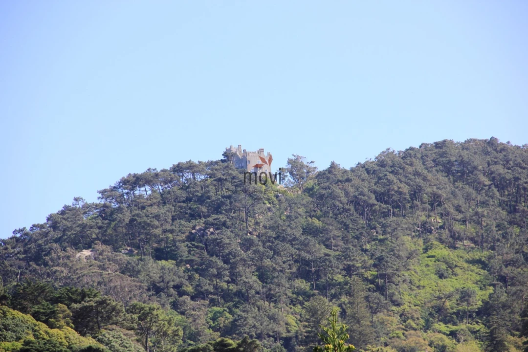Quinta T7 para Venda em Santa Maria e São Miguel, São Martinho, São Pedro Penaferrim Foto 9