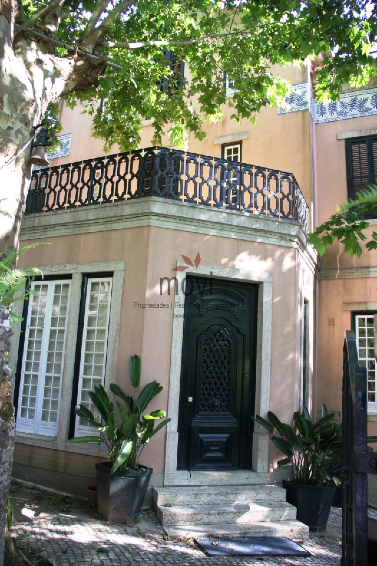 Quinta T7 para Venda em Santa Maria e São Miguel, São Martinho, São Pedro Penaferrim Foto 21