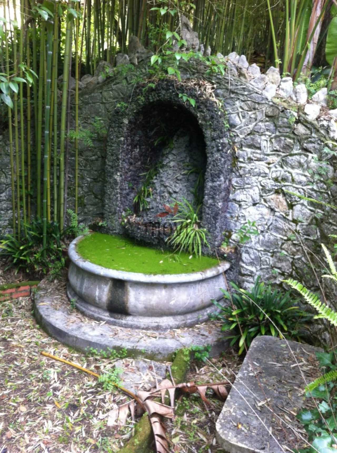 Quinta T7 para Venda em Santa Maria e São Miguel, São Martinho, São Pedro Penaferrim Foto 22