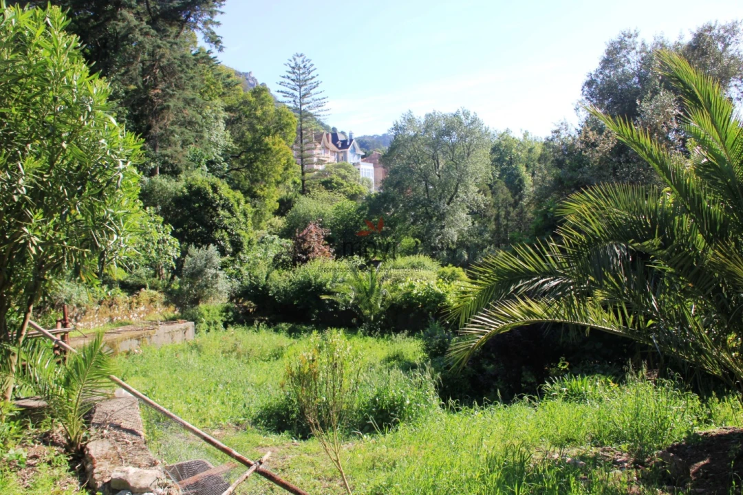 Quinta T7 para Venda em Santa Maria e São Miguel, São Martinho, São Pedro Penaferrim Foto 25