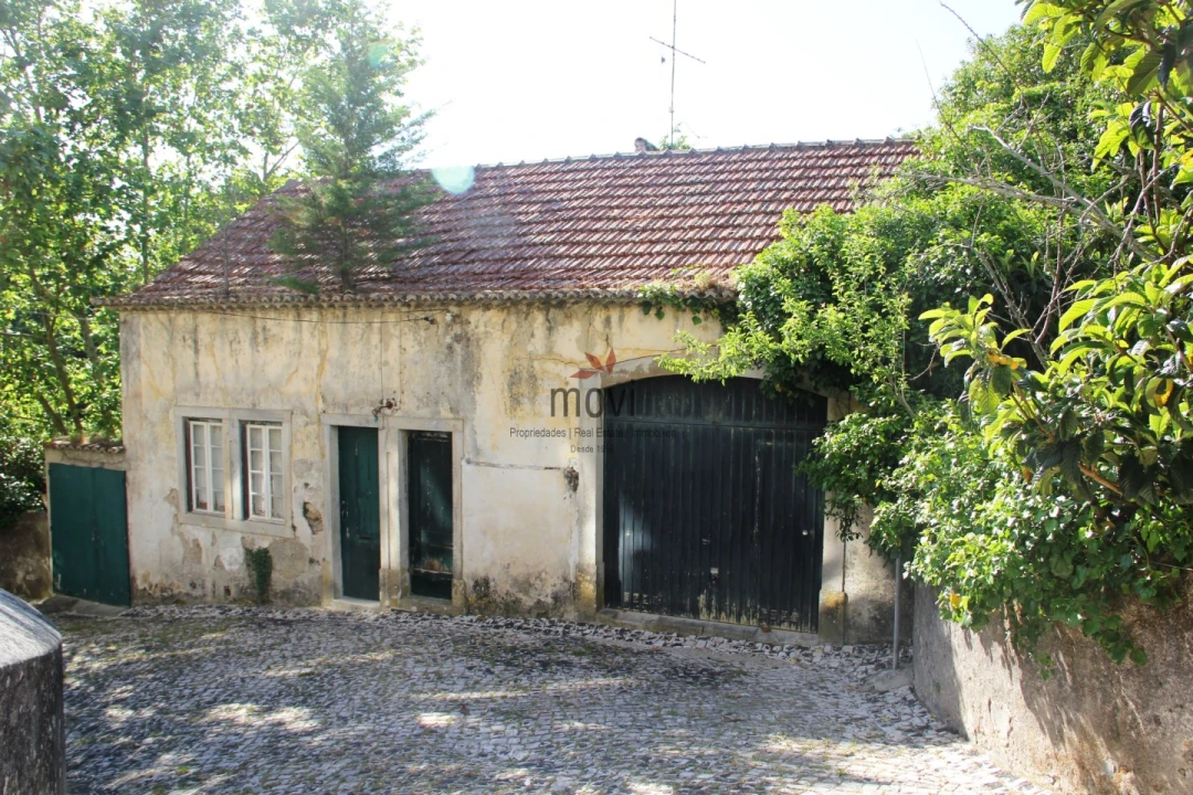Quinta T7 para Venda em Santa Maria e São Miguel, São Martinho, São Pedro Penaferrim Foto 28