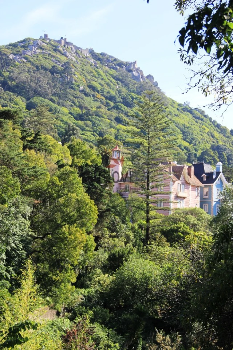 Quinta T7 para Venda em Santa Maria e São Miguel, São Martinho, São Pedro Penaferrim Foto 27