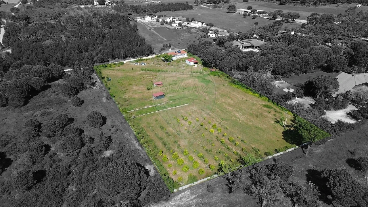 Moradia T2 para Venda em Branca Foto 20